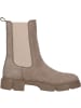 Palado Chelsea Boots Focne in Beige