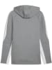 Puma Hoodie "TeamEVOSTRIPE Hoody" in Grau