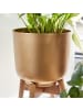 KADIMA DESIGN Blumentopf | Metall/Massiv, 2er Set, Gold, Pflanzkübel