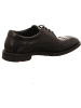LLOYD Schnürschuhe in schwarz