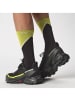 SALOMON Trailrunning-Schuh ALPHACROSS 5 GTX in black/peat/sulphur spring