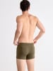 Sloggi Retro Pants Trunks in BEECH