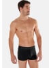 HOM Retro Short / Pant Daniel in Mehrfarbig