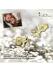 GoldDream Echtgold, 333er Gelbgold Damen Ohrstecker Star Ohrring ca. 7mm