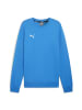 Puma Sweatshirt teamGOAL Casuals Crew Neck Sweat in blau