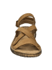 Josef Seibel Komfort Sandalen in Braun
