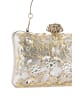 NAEMI Women Clutch in Silver