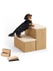 relaxdays Hundetreppe in Beige - (B)40 x (H)32 x (T)35 cm
