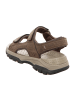 Skechers Trekkingsandalen in Braun