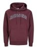 JACK & JONES PLUS Kapuzenpullover in Vineyard Wine