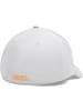 Under Armour Cap "Blitzing" in Grau