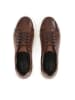 Kazar Sneaker Low in Braun