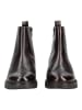 ara Stiefelette CAMBRIDGE-ST. Dunkelbraun