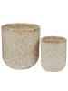 Butlers Tasse BOM DIA 6er-Set in Beige