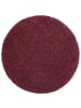 Tara Carpet Hochflorteppich Twilight in Bordeaux