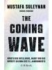 Beck Buch - The Coming Wave