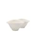 Villeroy & Boch 2er Set Suppenschalen Vapiano 18 x 16 cm weiß in weiß