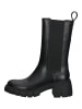 Steve Madden Stiefelette in Schwarz