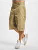 Dickies Dickies Shorts in khaki