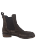 LLOYD Chelsea Boot Dara 315  in Braun