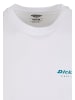 Dickies Dickies T-Shirts in white