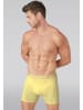 Muchachomalo 5er-Set: Boxershort in Mehrfarbig - für Herren