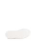 Gabor Sneaker low in multicolour