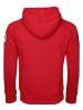 TOP GUN Hoodie Defender TG20191012 in red