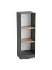 VCM  Bücherregal Dilos 114 x 38 cm für Aktenordner in Anthrazit / Honig-Eiche