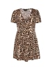faina Women Dress in khaki