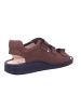 Finn Comfort Sandale in braun