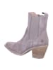 Apple of Eden Stiefelette SONIA in GREY