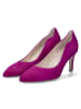 Gabor Pumps in Lila