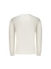 U.S. Polo Weiß Herren Sweatshirt aus Baumwolle