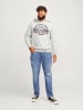 JACK & JONES PLUS Kapuzenpullover in White Melange