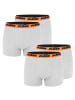 KTM Boxershorts 4er Pack Boxer Man Cotton in Light Grey2