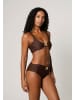 Moda Minx Bikinioberteil Nautilius Shell Knot Bikini Top in brown
