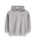 Coccodrillo Gefüttertes Sweatshirt in grau