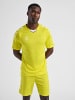 Hummel Hummel T-Shirt Hmlcore Multisport Herren Atmungsaktiv Schnelltrocknend in BLAZING YELLOW