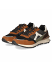 Bullboxer Sneaker in brown