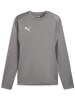 Puma Pullover "TeamGoal Training Sweat" in Grau