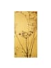 WALLART Leinwandbild Gold - Trockenblume im Lichtspiel in Braun