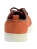 natural world Sneaker von On Napa Braun