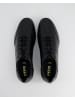 Geox Sneaker low in Schwarz