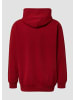 s.Oliver Sweatshirt in 36D3_burgund