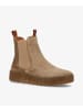 phenumb Schnürschuh in beige