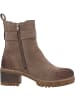 Palado Stiefel, Stiefeletten & Boots Trafina in Taupe
