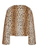 Noisy may Jacke in Nomad1