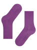 Falke Socken Softmerino in Phlox
