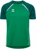 Hummel Sportshirt "Lead 2.0 Jersey S/S" in Grün